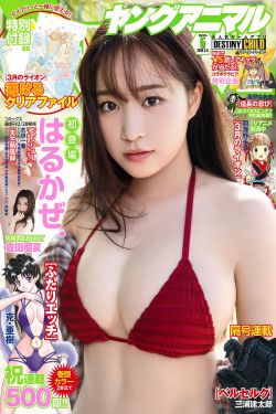 山河月明在线观看免费全集